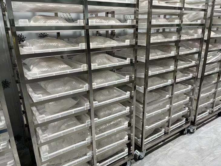 Coconut Milk & Cream Processing Line price