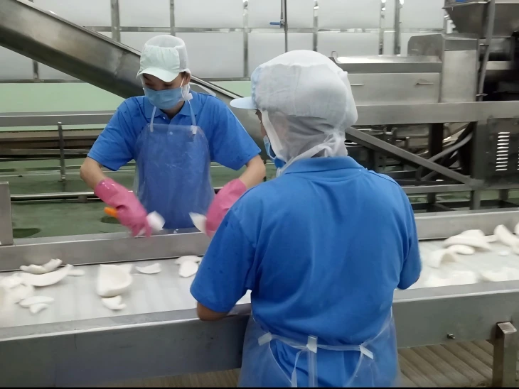 Coconut Milk & Cream Processing Line factory