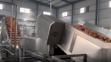 5T/H Apple & Pear Processing Production Line in China Shandong