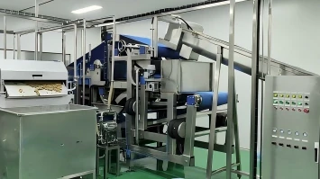 2-3T/H Rosa Roxburghii Puree Processing Line in Zhejiang, China