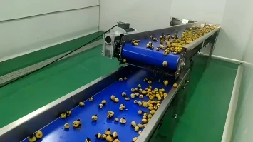 5T/H Rosa Roxburghii Juice Sterilization and Aseptic Filling System in Guizhou, China
