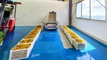 3T/H Fruit Juice Processing Line in Guizhou, China