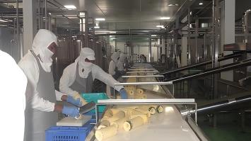 2T/H NFC Pineapple Juice Processing Line in Uganda