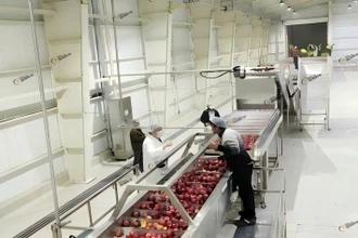 Industrial Apple Juice Concentrate Line: Solving Hidden Imbalance in Continuo...