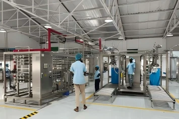 An Aseptic Line Is More Than A Sterilizer: Where The Sterile Boundary Ends