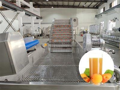 Apricot Processing Line