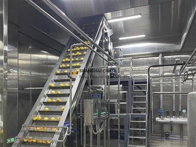 Pear Processing Line